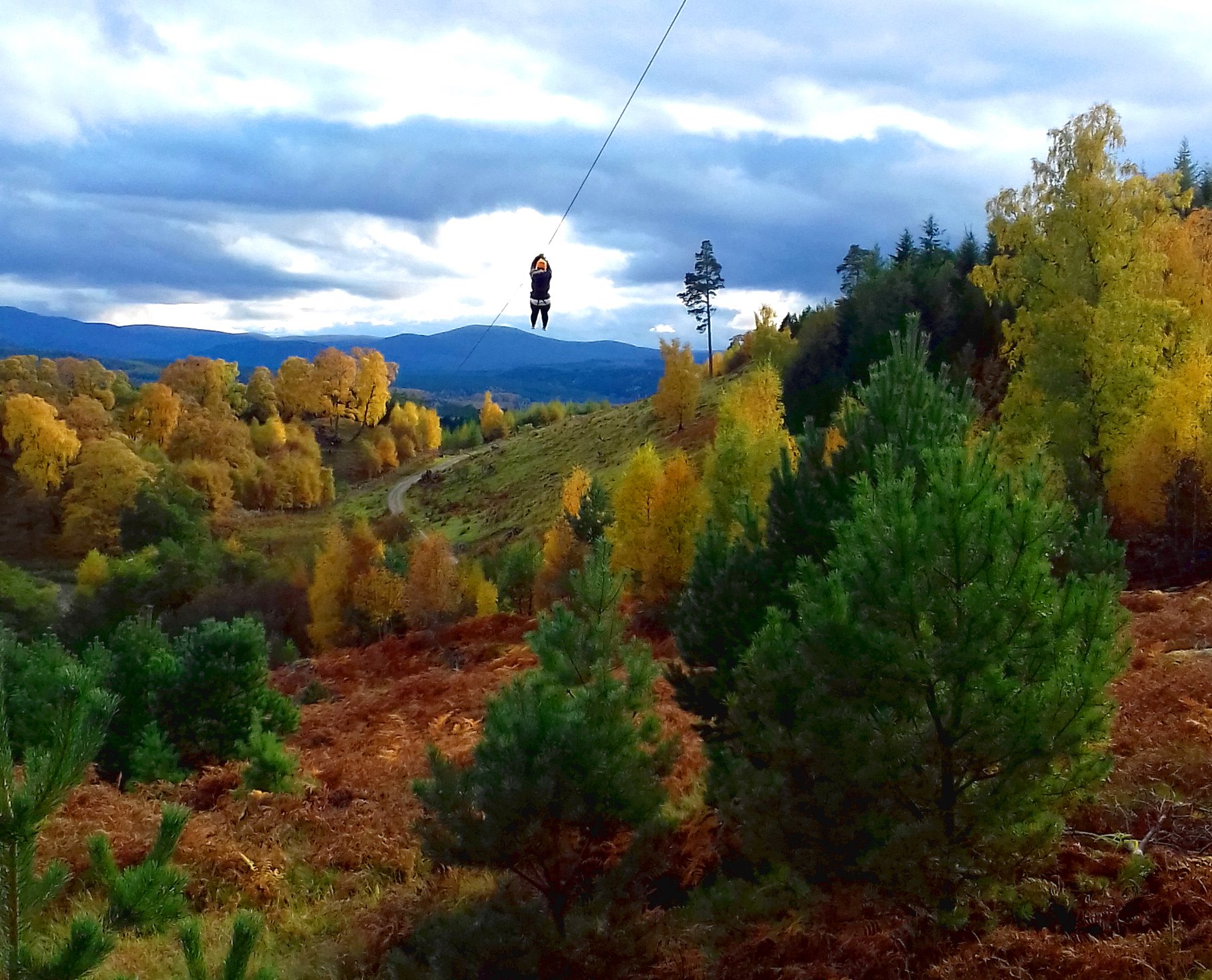 Zip Trek Aviemore